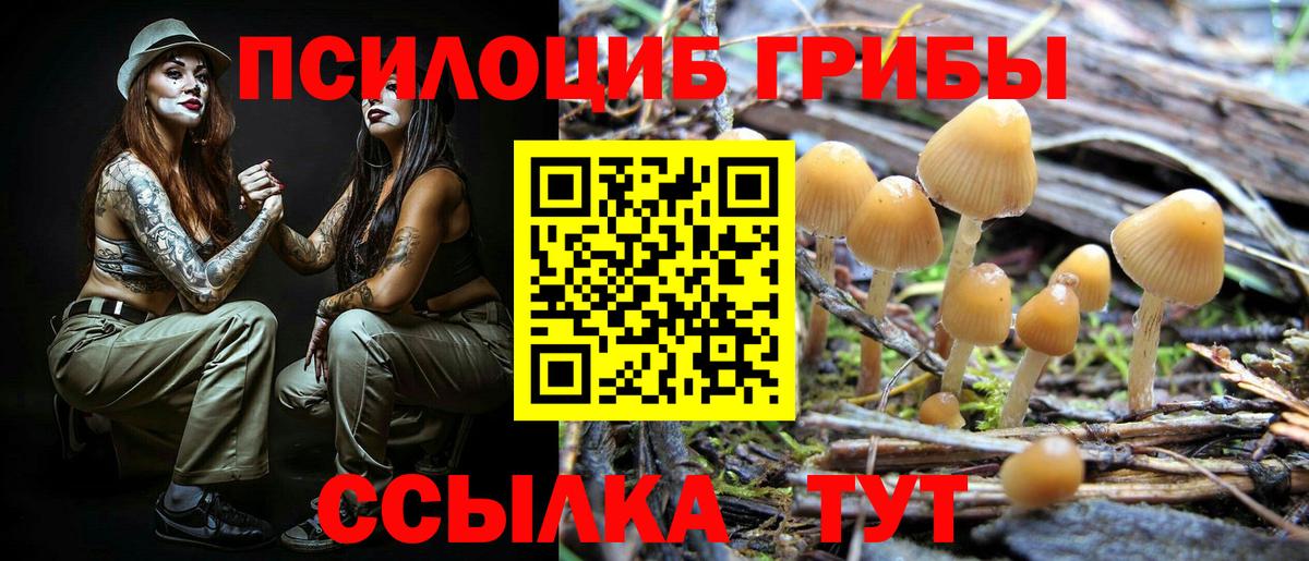 Псилоцибиновые грибы MAGIC MUSHROOMS  Вход с VPN  Дальнегорск 